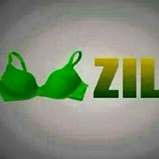 13 Funny BBM DP from Brazil vs Germany 2014 World Cup Match